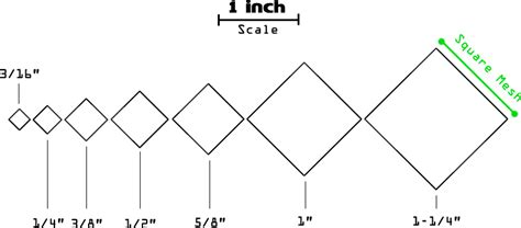 1 exch.net|1 inch net chart.